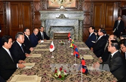 Thủ tướng Nguyễn Tấn Dũng chào Nhật hoàng Akihito